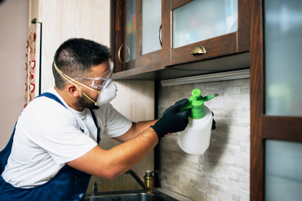 Pest Control for Restaurants in Elwood, UT