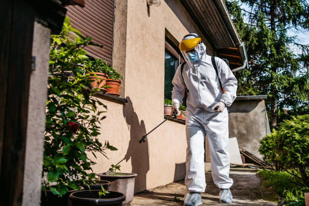 Best Emergency Pest Control  in Elwood, UT