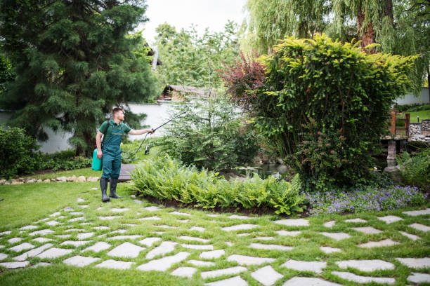 Pest Control Cost in Elwood, UT