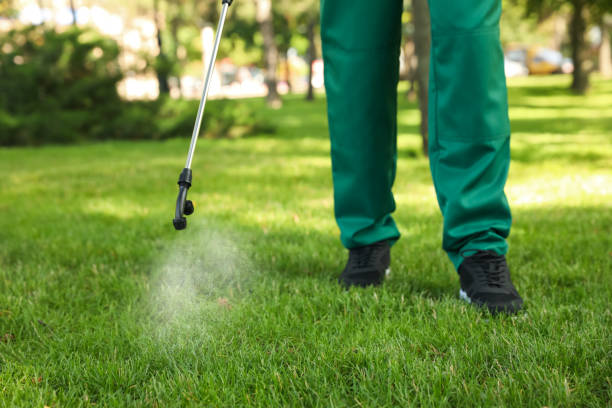 Best Affordable Pest Control Services  in Elwood, UT