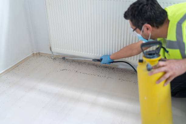 Best Termite Control Services  in Elwood, UT